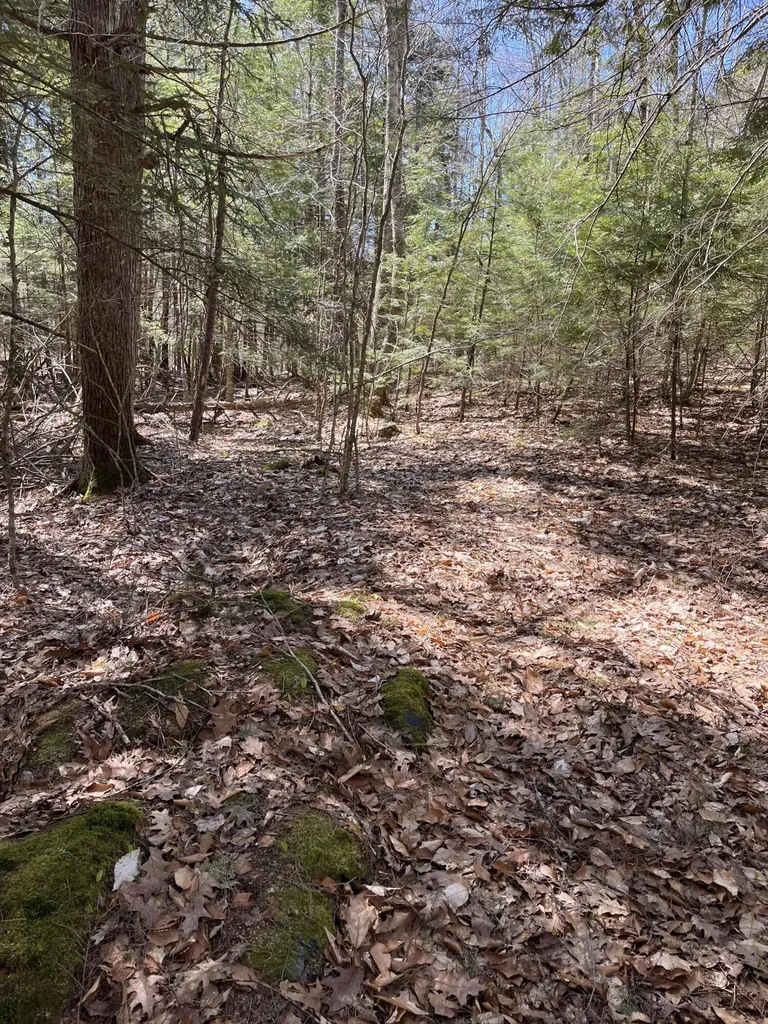 0 Springer Lane Union ME 04862