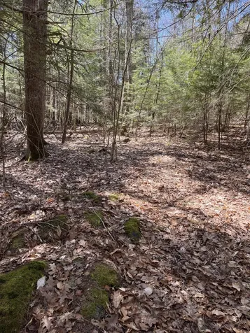 0 Springer Lane Union ME 04862