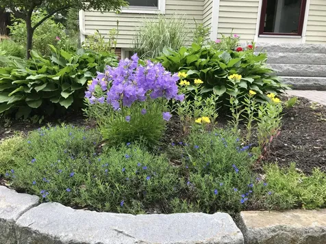23 Chamberlain Avenue Portland ME 04101