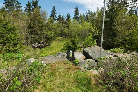 56 Cape Circle Addison ME 04606