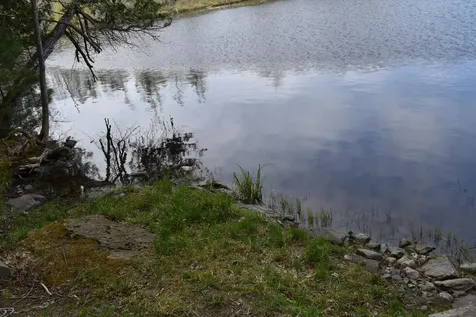 84 Hicks Pond Road Palmyra ME 04965