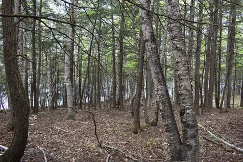 84 Hicks Pond Road Palmyra ME 04965