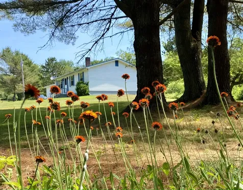 8 Bartley Lane Bucksport ME 04416