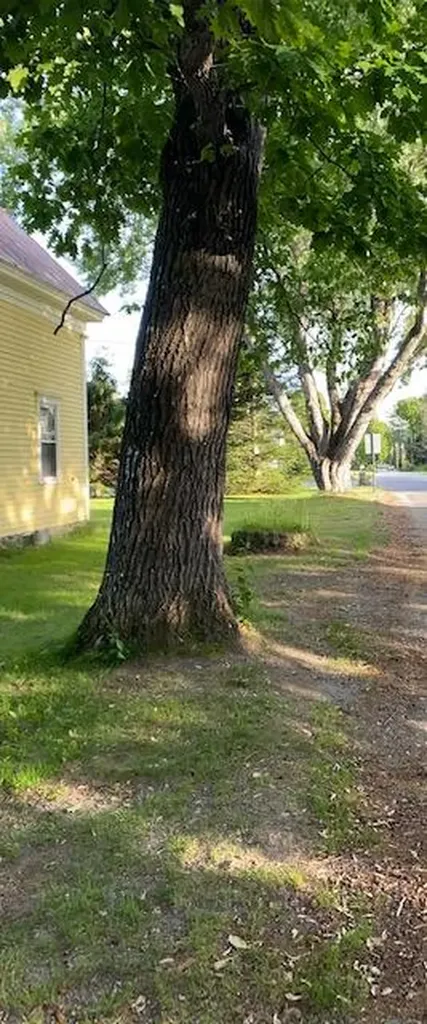 6 Cedar Street Kingfield ME 04947