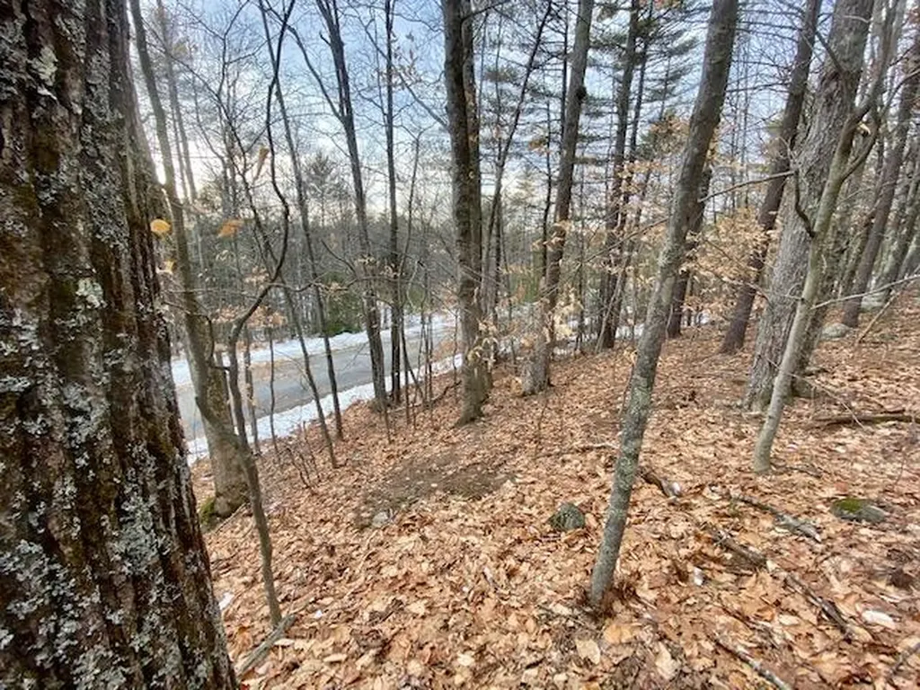 0 Sanborn Road Newfield ME 04056