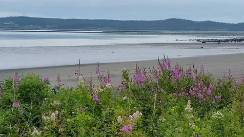 278 South Lubec Road Lubec ME 04652