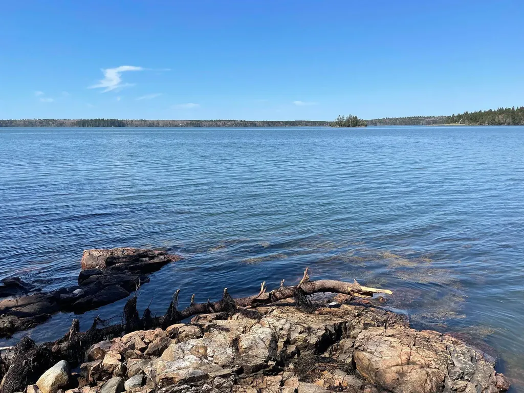 76 Collins Cove Road Machiasport ME 04655