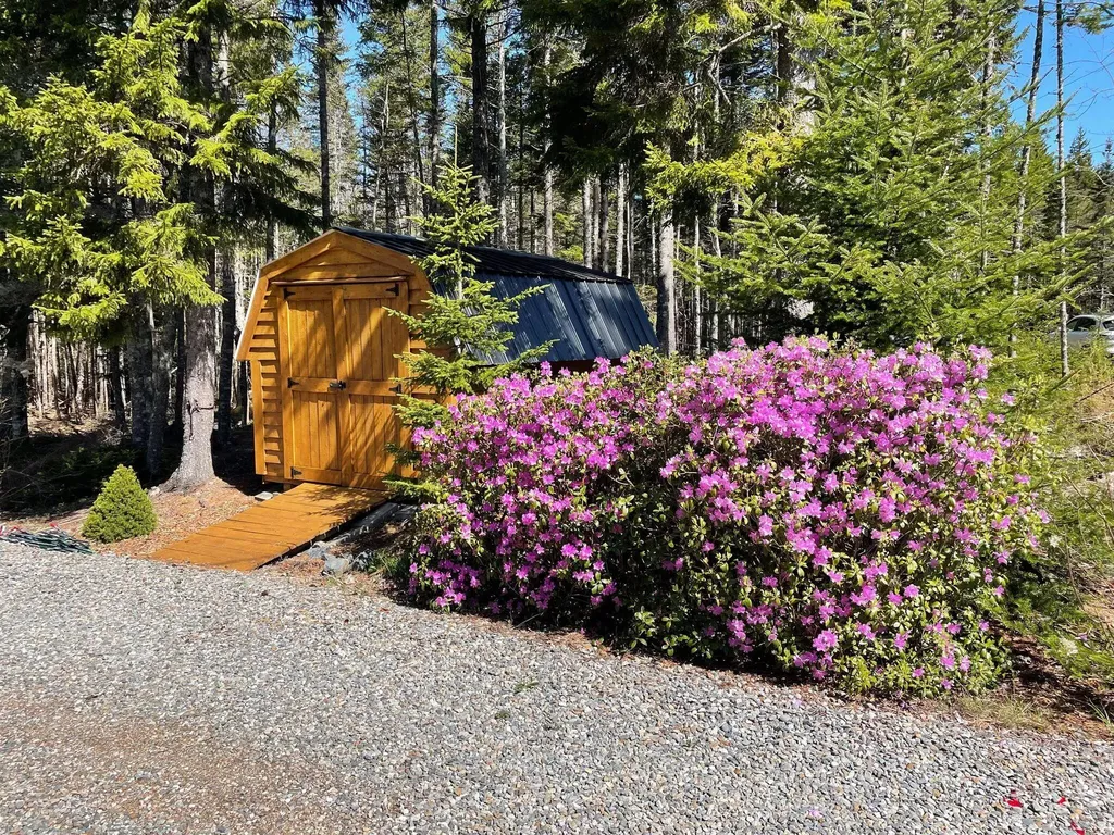 76 Collins Cove Road Machiasport ME 04655