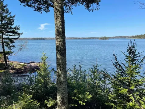 76 Collins Cove Road Machiasport ME 04655