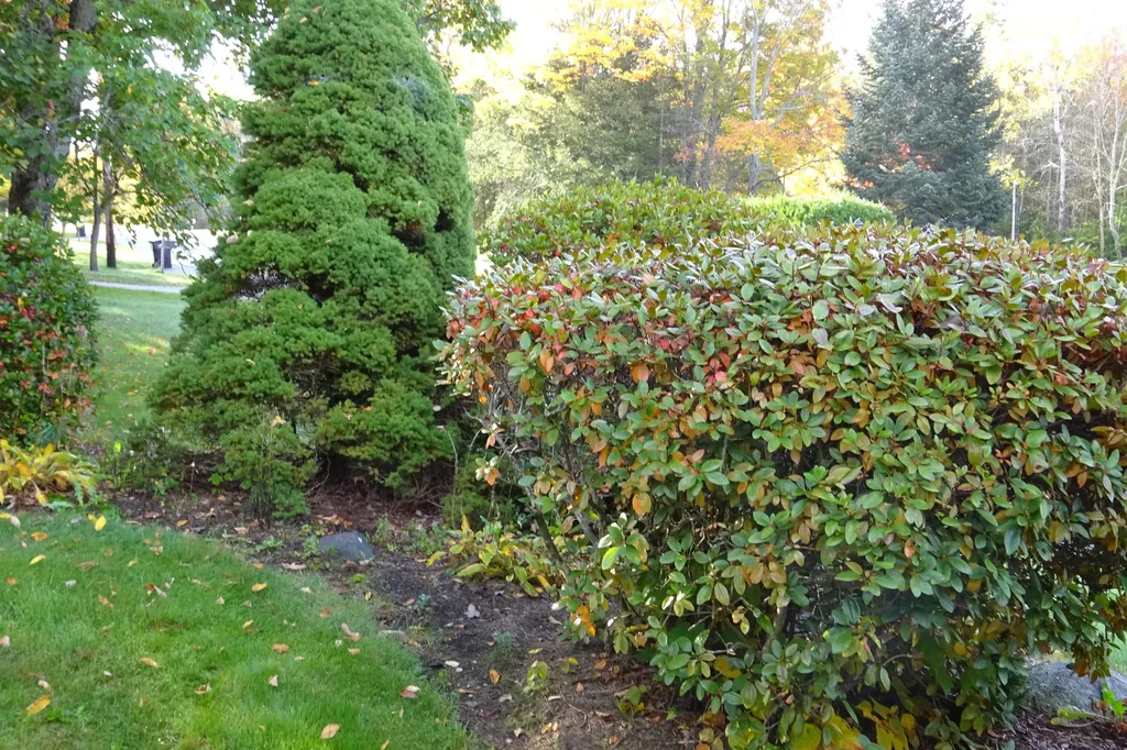 38 Balsam Road Bangor ME 04401