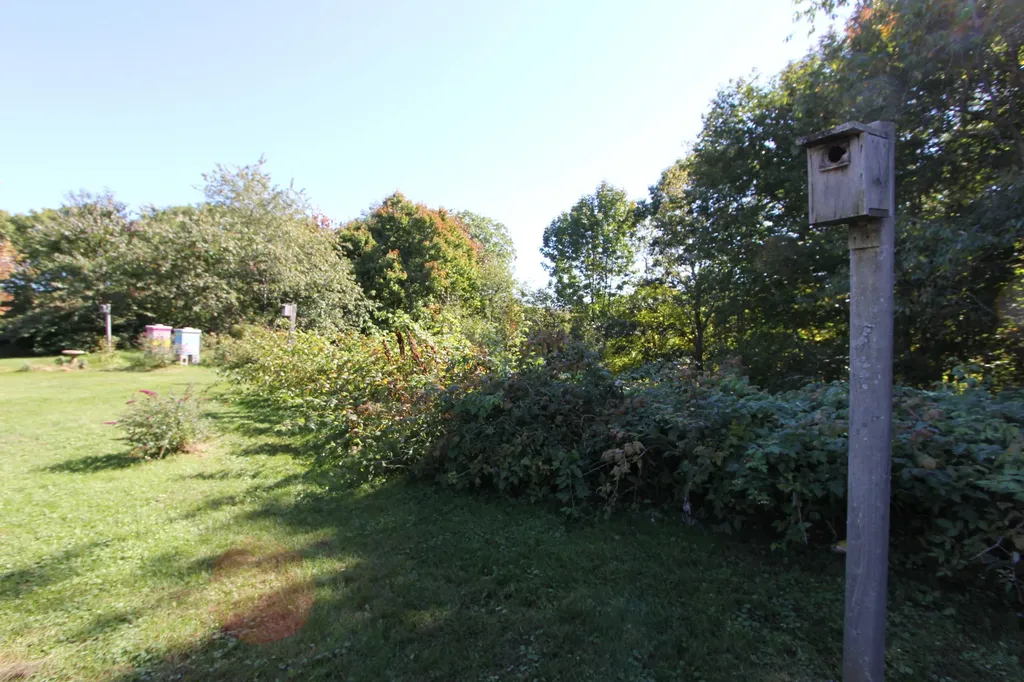 49 Fawn Lane Greene ME 04236