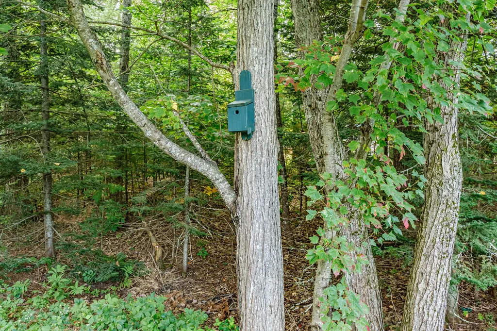 4 Paxton Way Windham ME 04062