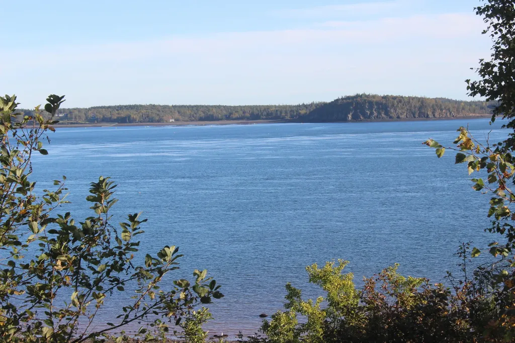 7 Lower High Street Eastport ME 04631