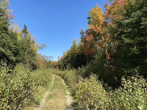 Lot 25 Route 2 Mattawamkeag ME 04459