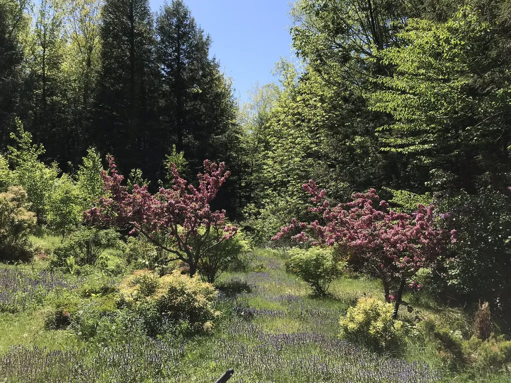 164 Carmel Road S Hampden ME 04444