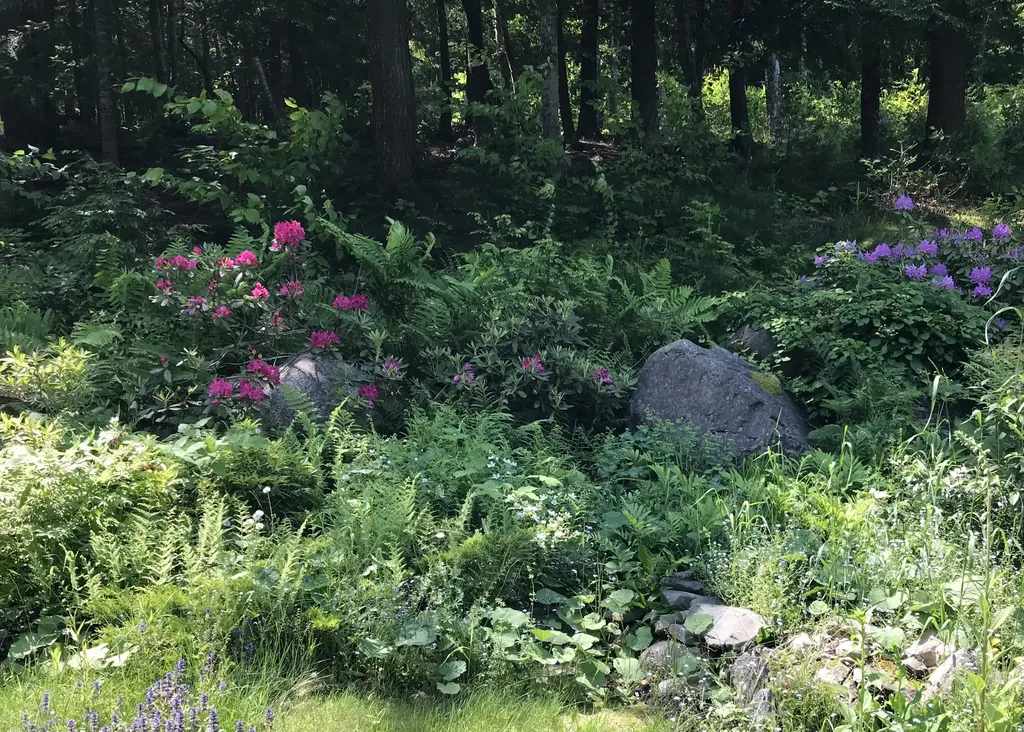 164 Carmel Road S Hampden ME 04444