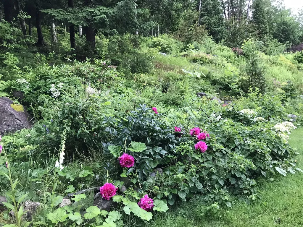 164 Carmel Road S Hampden ME 04444