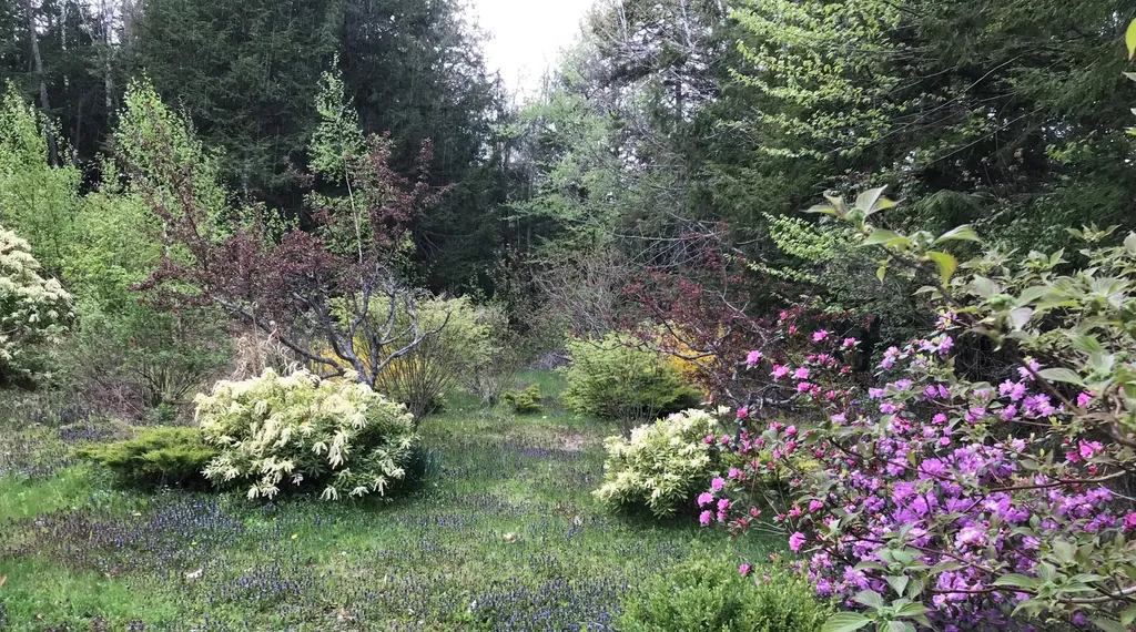 164 Carmel Road S Hampden ME 04444