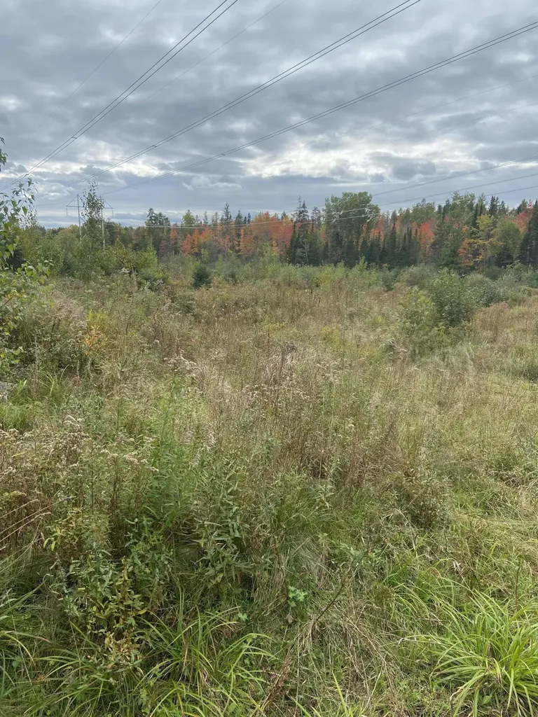 245 Clewleyville Road Eddington ME 04428