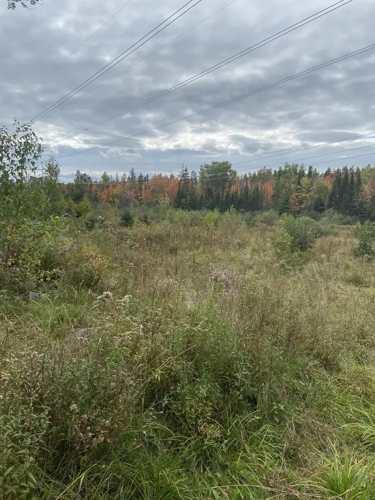 245 Clewleyville Road Eddington ME 04428