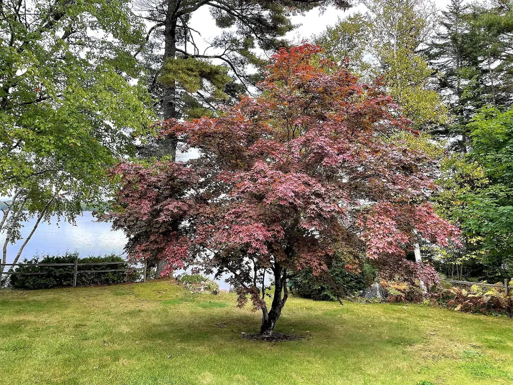 2217 Northfield Road Northfield ME 04654