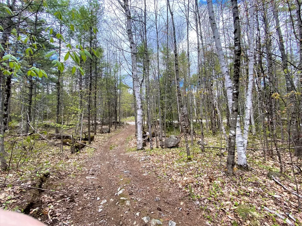 00 Libby Road Newfield ME 04095