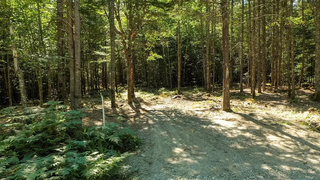 43D/44D Duck Cove Road Roque Bluffs ME 04654