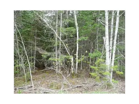 Lot #10 Webb Brook Subdivision Road Waltham ME 04605