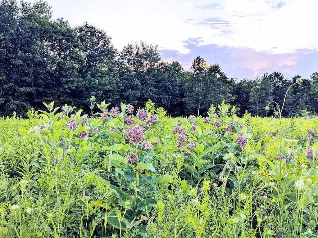 498 General Turner Hill Road Turner ME 04282