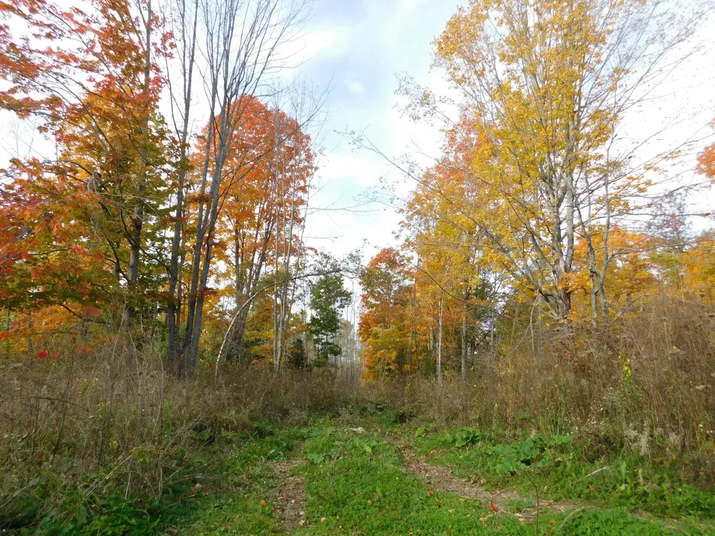 326 Stetson Road Stetson ME 04488