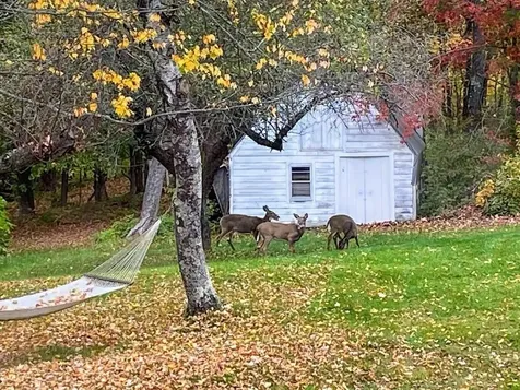 242 Moose Hill Road Jay ME 04239