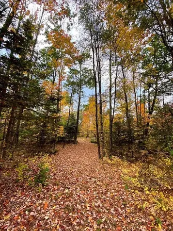 242 Moose Hill Road Jay ME 04239