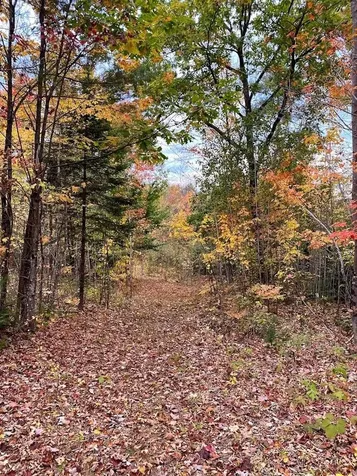 242 Moose Hill Road Jay ME 04239