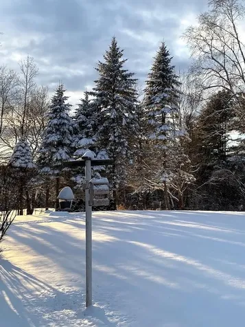 242 Moose Hill Road Jay ME 04239