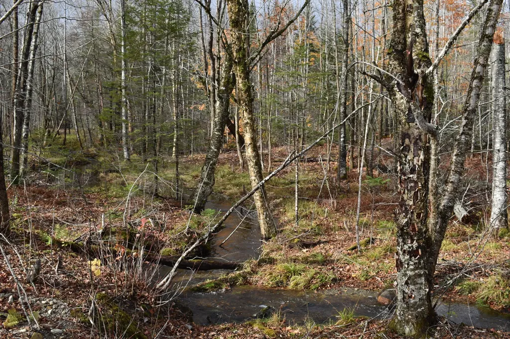Off Mill Privilege Pukakon Twp ME 04487