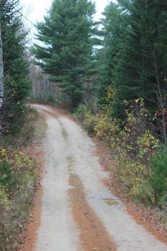 Lot 6 Otter Cove Lane Sedgwick ME 04676