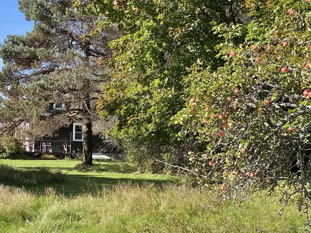 521 River Road Saint George ME 04860