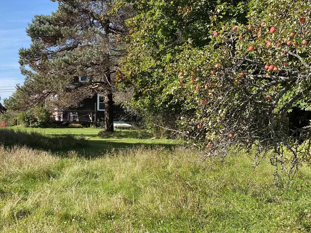 521 River Road Saint George ME 04860