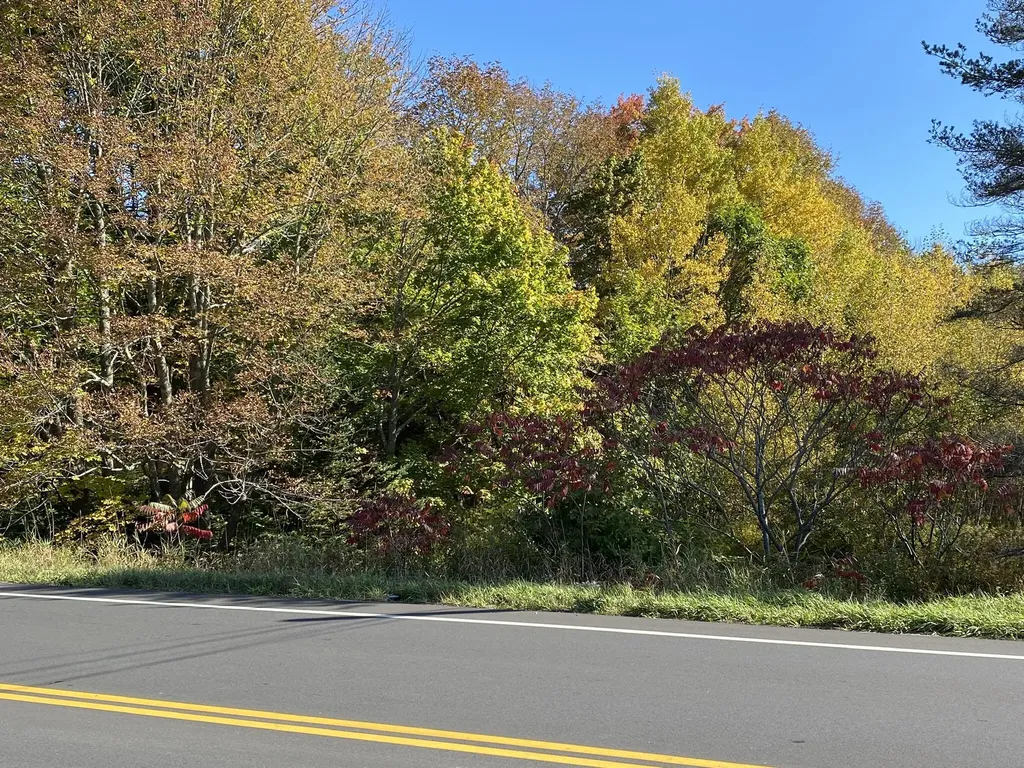 521 River Road Saint George ME 04860