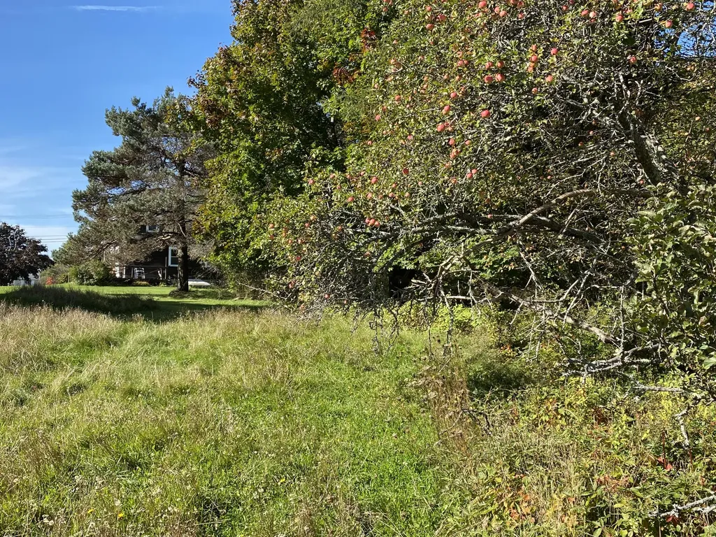 521 River Road Saint George ME 04860