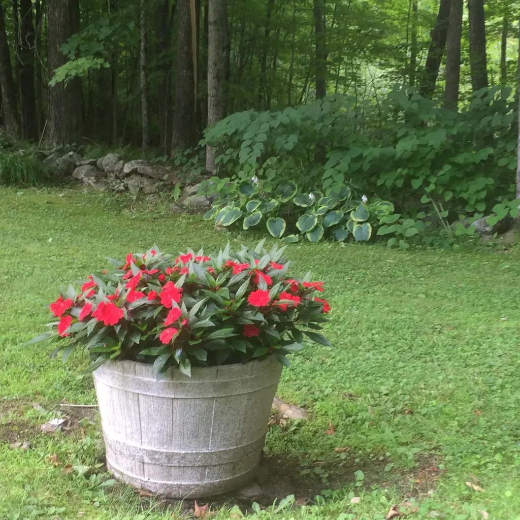 209 Dunn Road Poland ME 04274