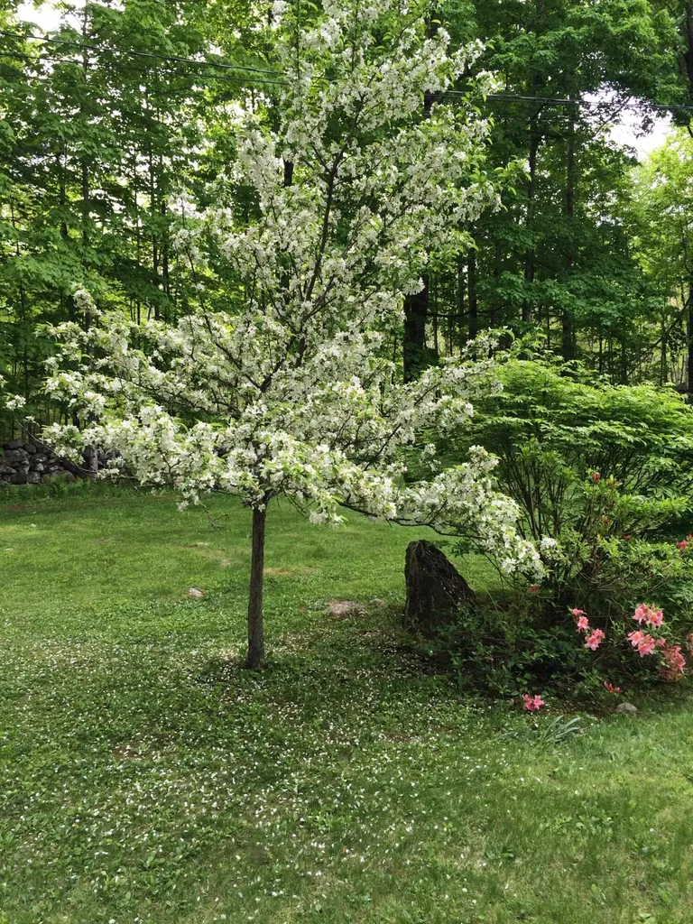 209 Dunn Road Poland ME 04274