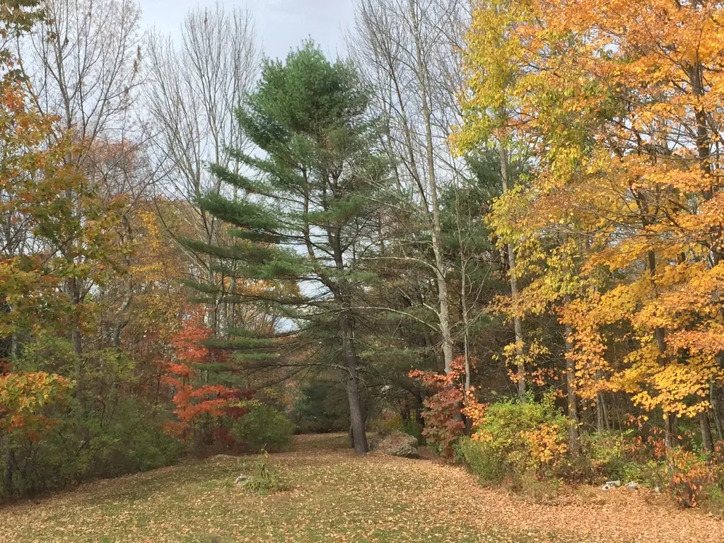 209 Dunn Road Poland ME 04274