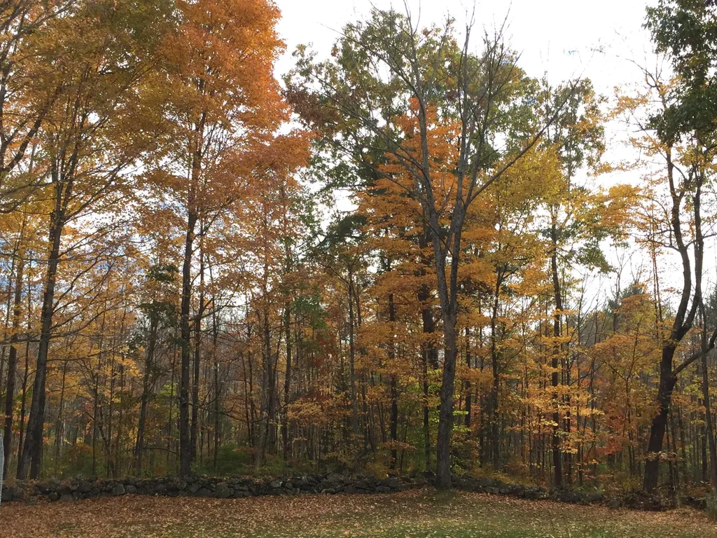 209 Dunn Road Poland ME 04274