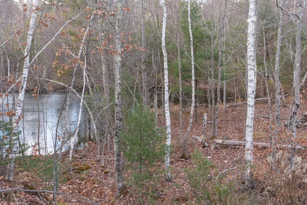 16 Great Falls Road Gorham ME 04038