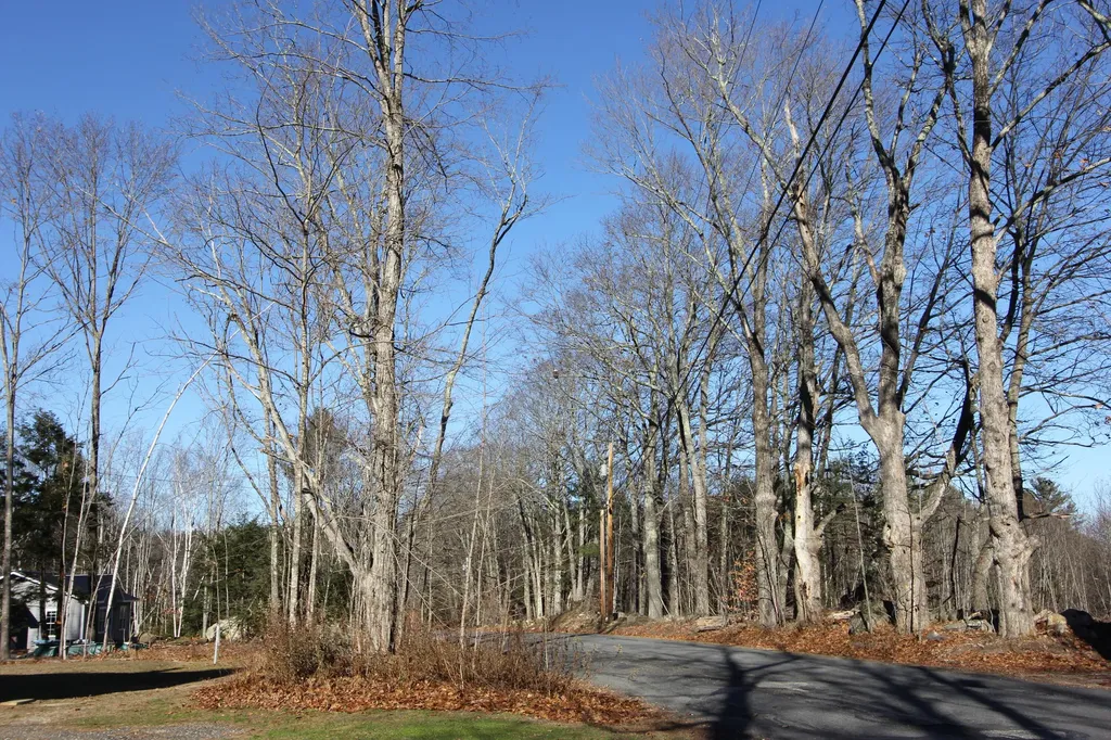 659 Quaker Ridge Road Leeds ME 04263