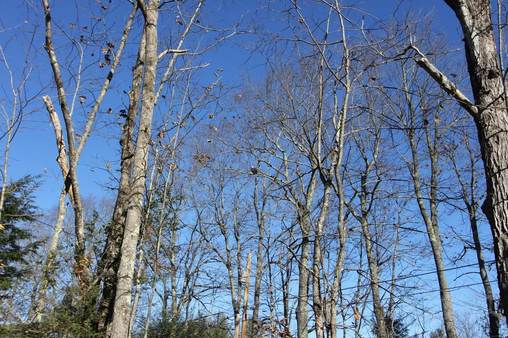 659 Quaker Ridge Road Leeds ME 04263