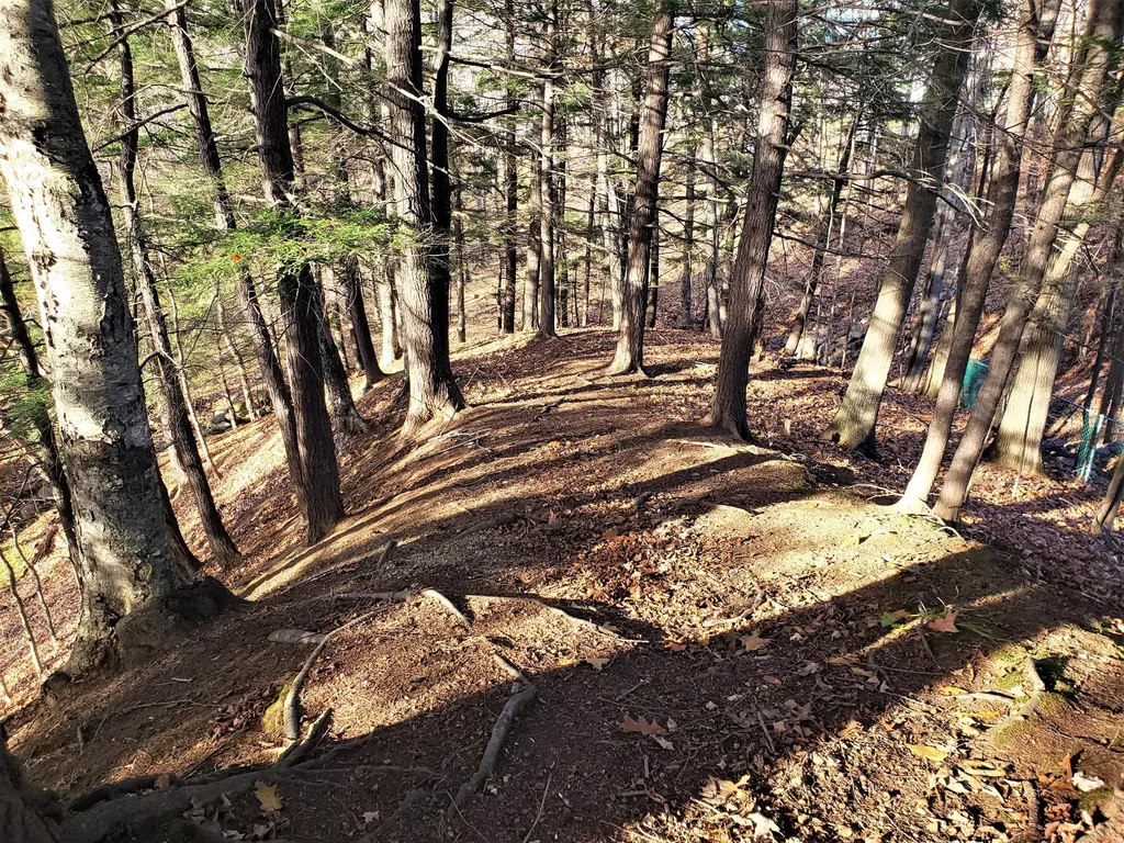 219 High Street Farmington ME 04938