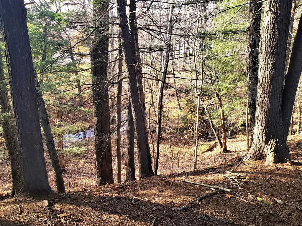 219 High Street Farmington ME 04938