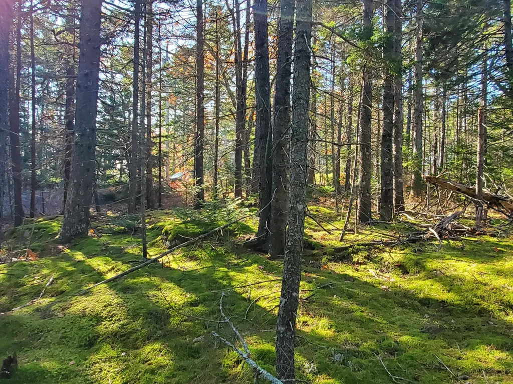 00 Spruce Lane Saint George ME 04860